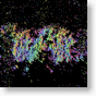 coral_full